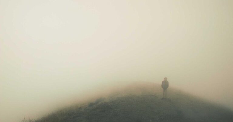 Port to Door: A Practical Guide to Importing from India via Sea Freight