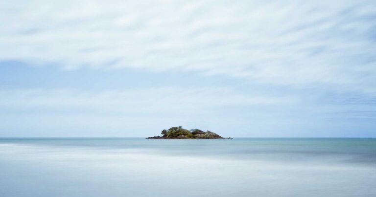 From Farm to Factory: Inside India’s Organic Certification Ecosystem